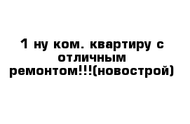 1-ну ком. квартиру с отличным ремонтом!!!(новострой)